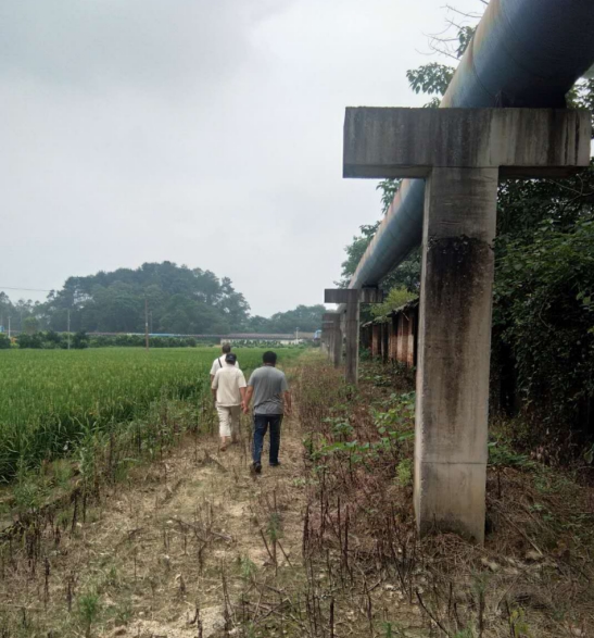 �����Թ��ȹ��߿�չ��ȫ��顣��ͼΪ���ȹ��߼�飩