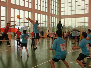 12�����š����۱�������